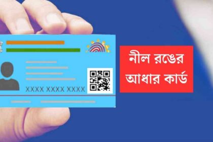 Blue Aadhaar Card