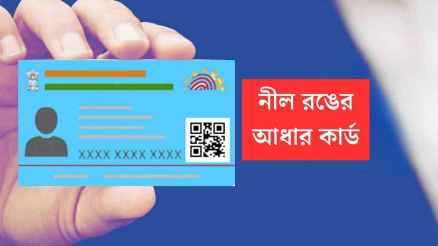 Blue Aadhaar Card